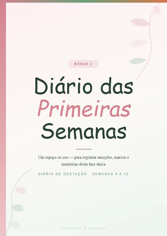 Bônus: diário das primeiras semanas